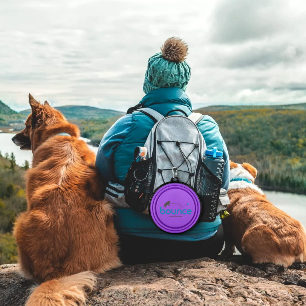 custom collapsible dog bowl