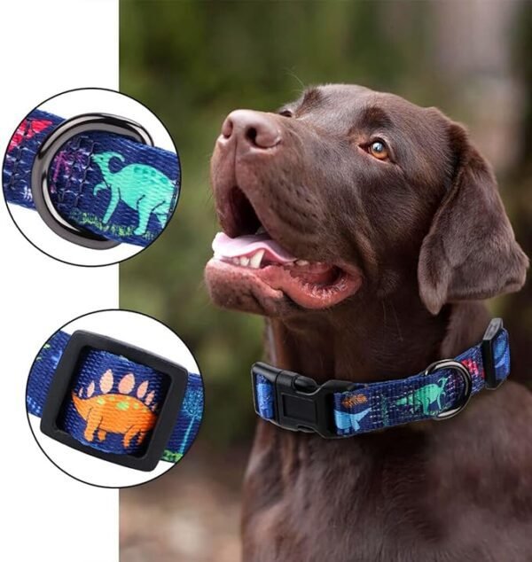 custom collars dog