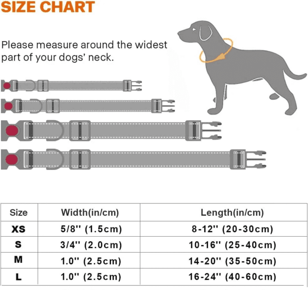 custom dog collars-10