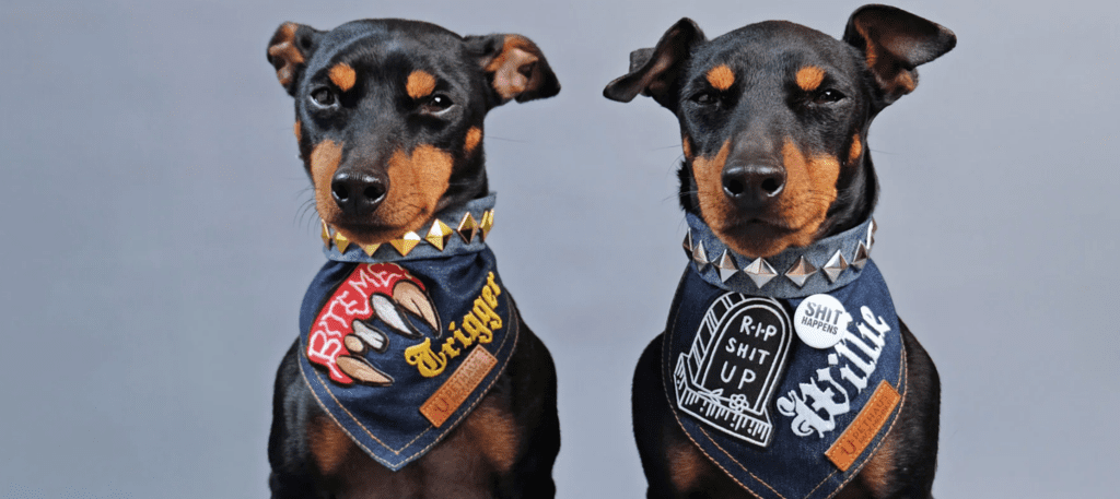 Specialty dog bandanas