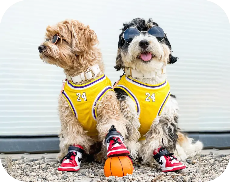 Custom Dog Basketball Jersey