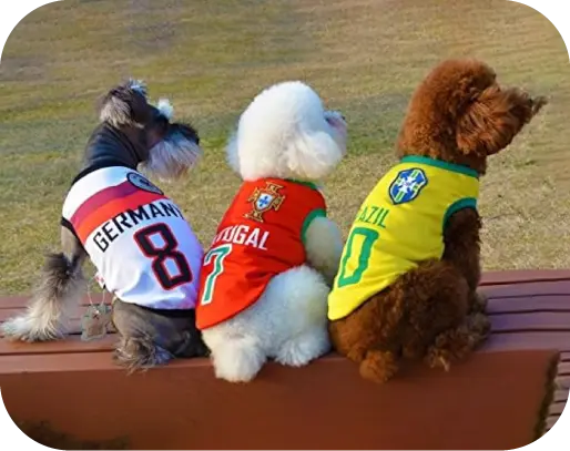 Custom Dog Soccer Jersey