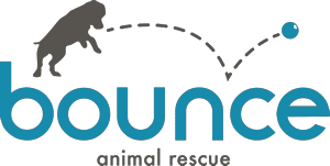 Bounce-Logo