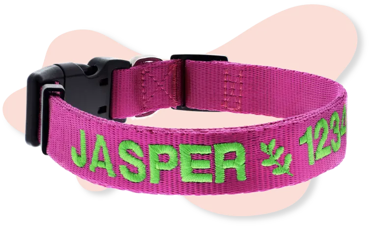 Custom Dog Collars With Name and Number