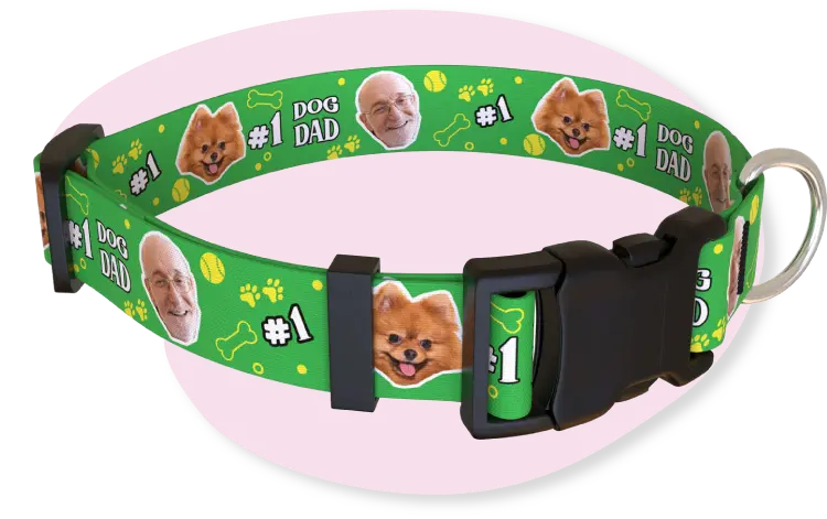 Custom Dog Collars With Pictures