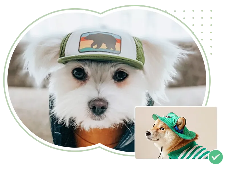 Custom Dog Hats