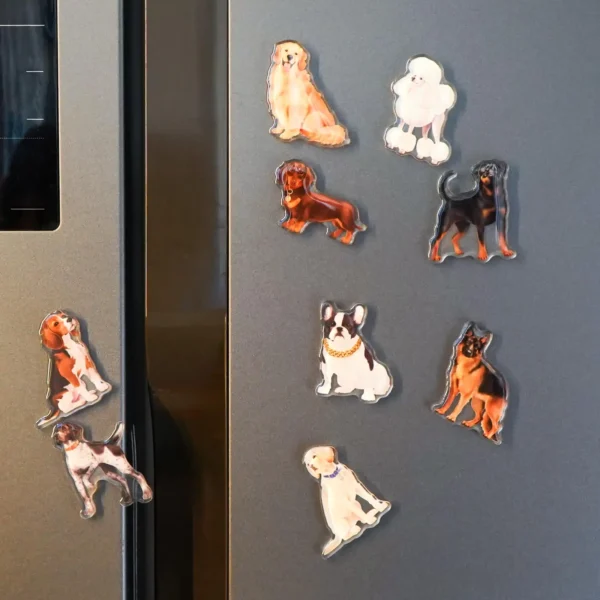 Custom Acrylic Magnets for Refrigerator