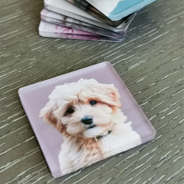 Custom Pet Acrylic Magnet