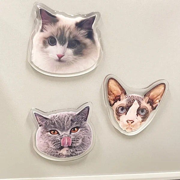 Custom Pet Acrylic Magnets