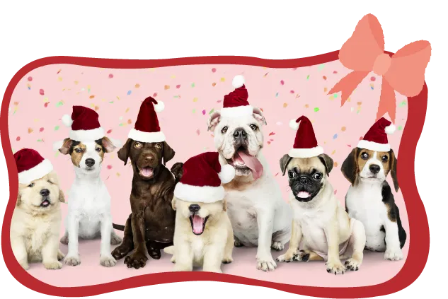 custom santa hats for dogs