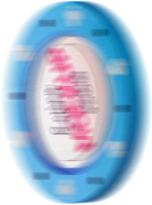 custom poker chip design-2 (1)