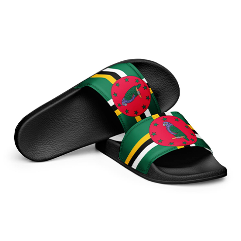 Custom Design Slides-4