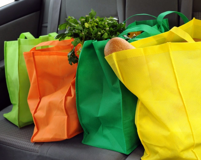 How to Make a Reusable Shopping Bag -1