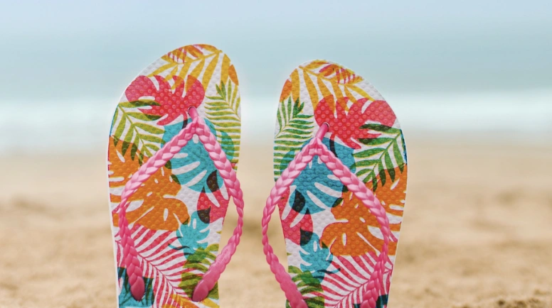 What Is a Flip-Flop-1 (1)