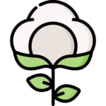 Cotton-based products