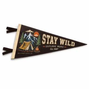 Custom Felt Pennants (5)