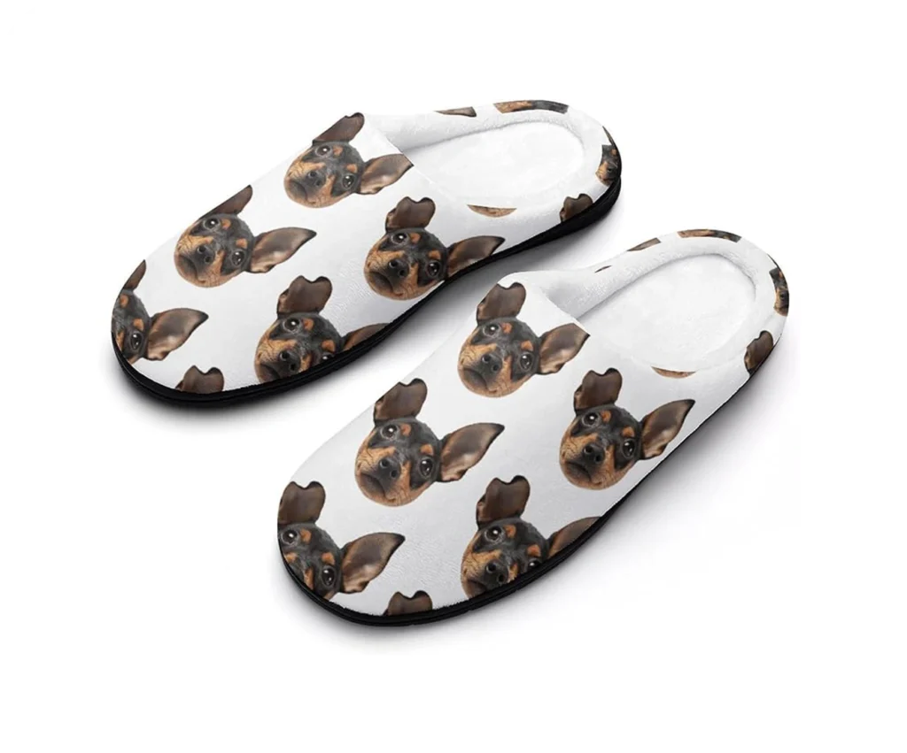 Custom Pet Slippers
