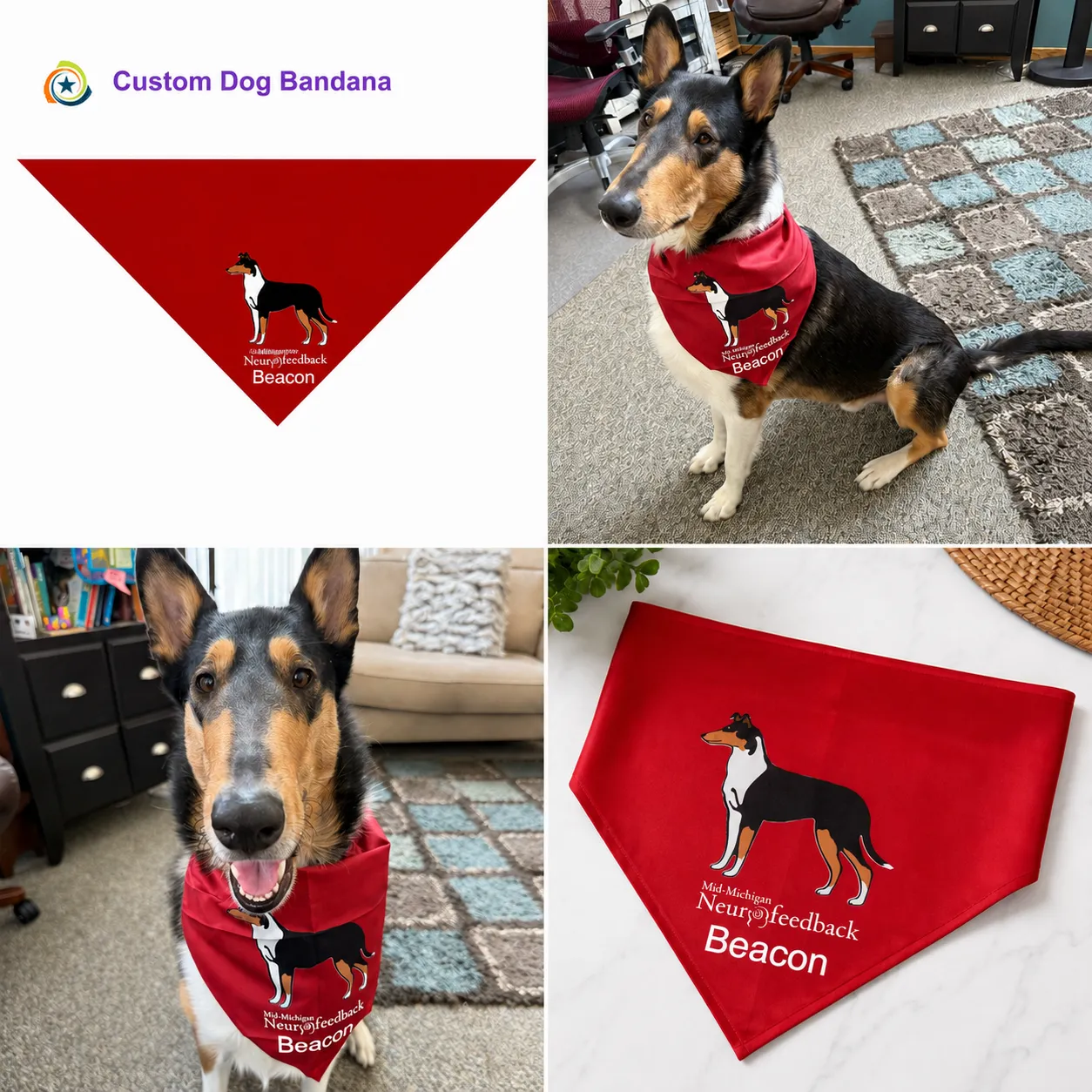 Custom Dog Bandanas for Therapy Programs